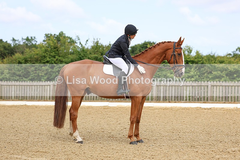 3E7A8595 - Class 1: Intro 1 2024 Section A