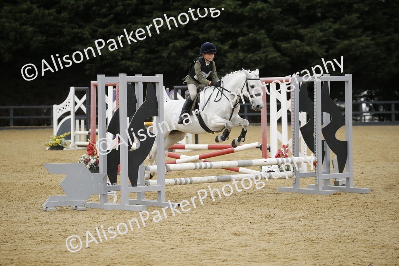 20250622-5896 - 60cm