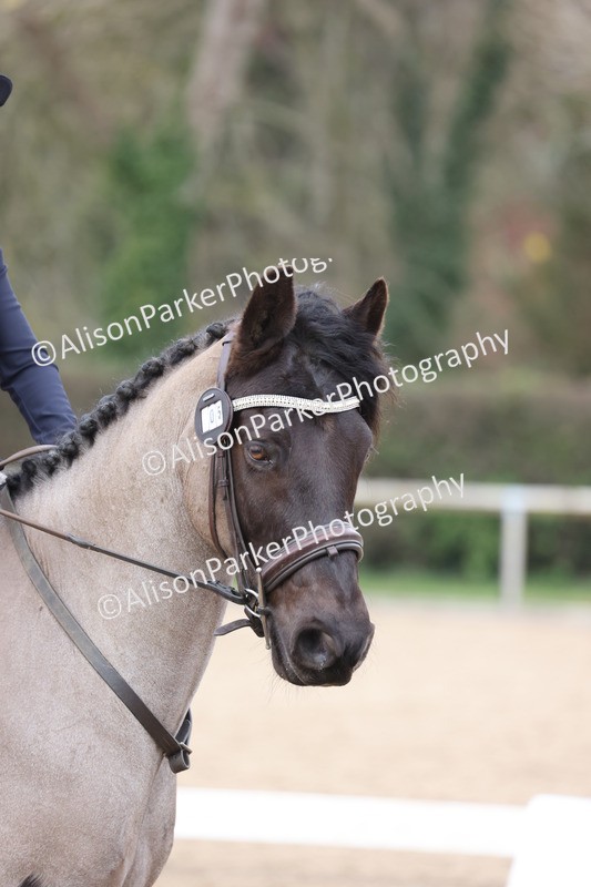 20260301-0272 - Class 3 - Novice 4