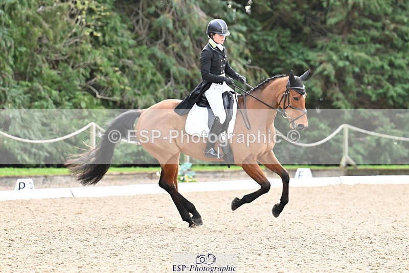 251023A-111534-01192 - C-227-Tarka.Abraham