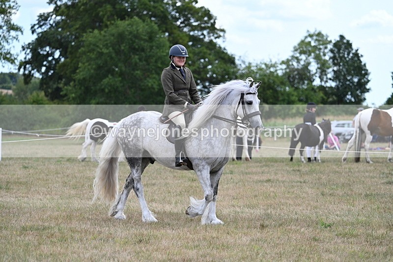 WJ7_4676 - Class 12 Ridden Cob