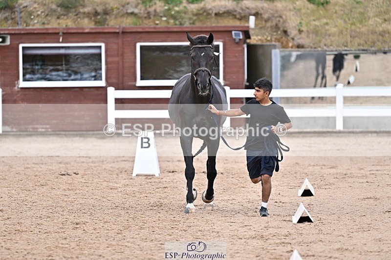 250716-165915-00782 - Trot Up 4.30 to 5.00