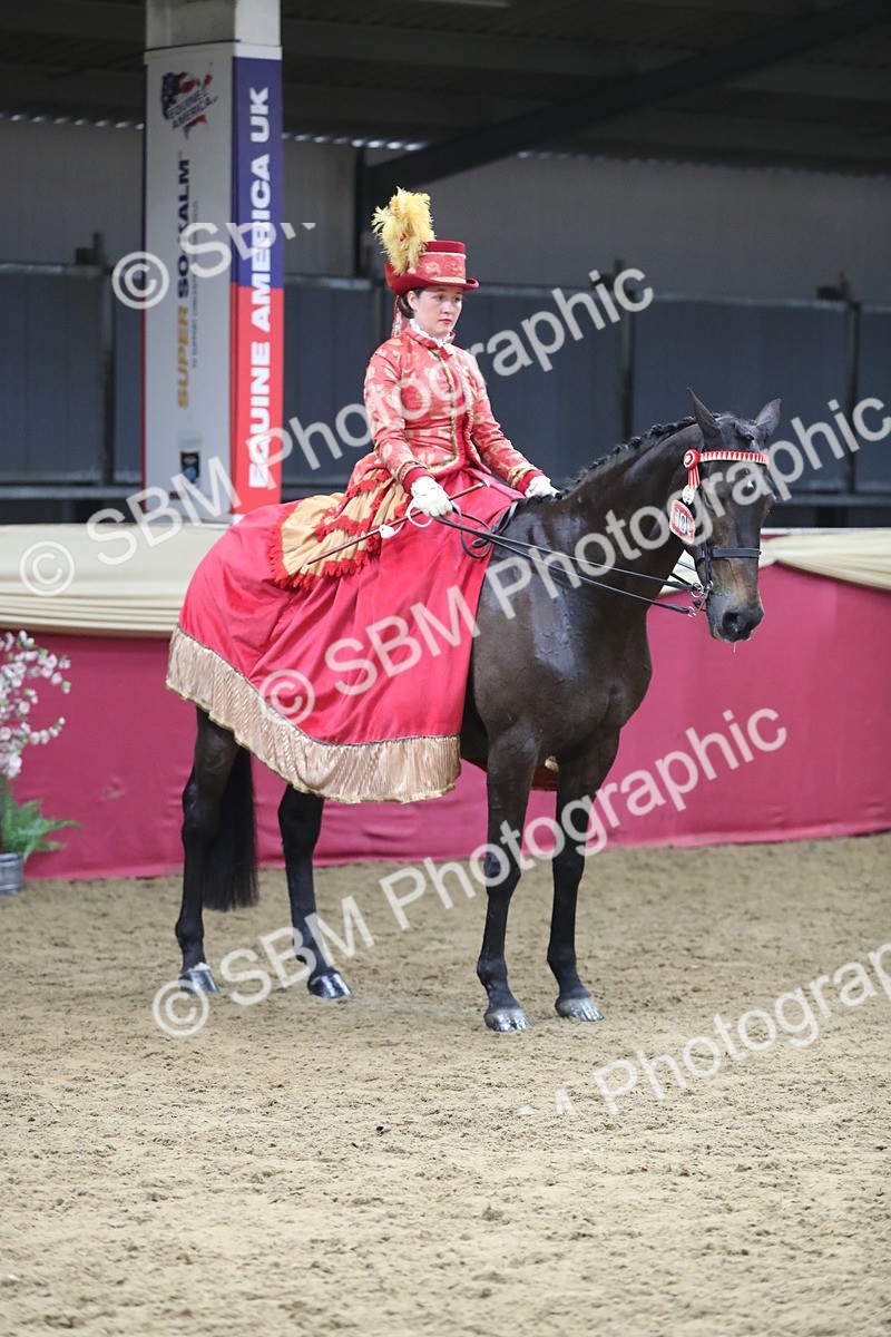 SBM_12174 - Class 107 Ridden Costume- Astride Adult (20+)
