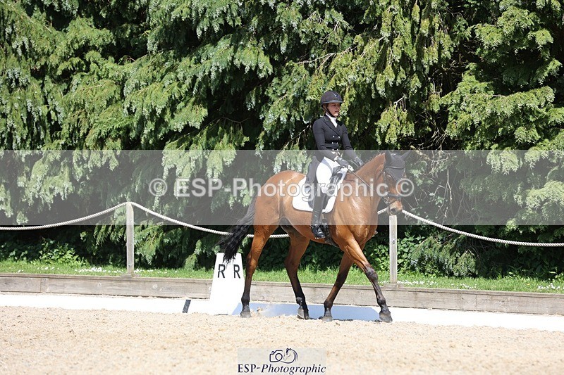 230526-150221-06604 - 377-GOLD_NUGGET-Jillian_Giessen-WEDTrotUp+DR