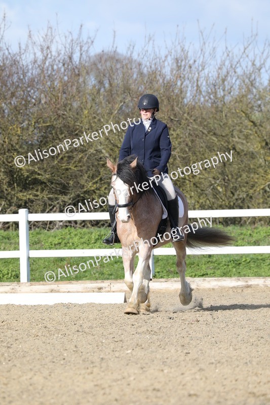 20260314-4982 - CT6 - Elementary 1