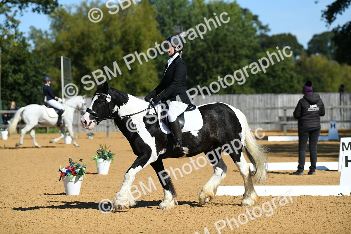 SBM_18223 - D4 - Small Tour Championship - Intro B