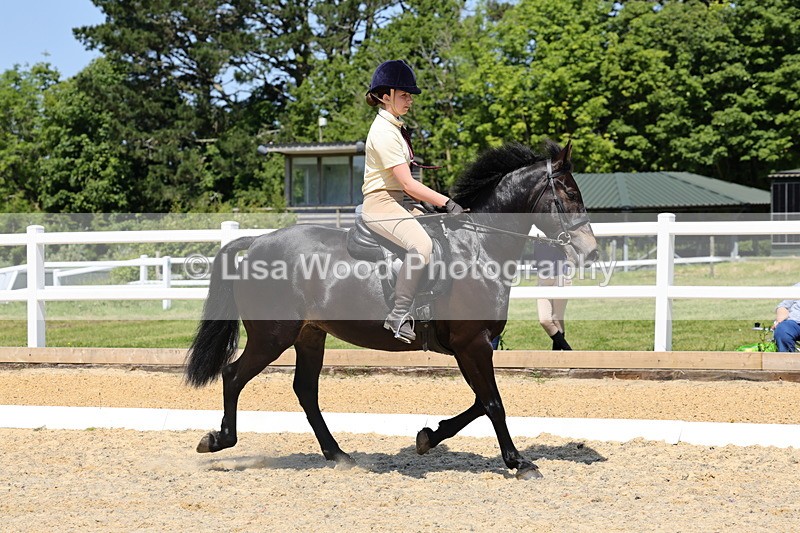 1X9A1696 - Class 11: Ridden Cob