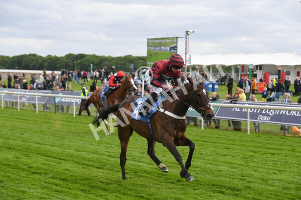 yr12052022r7-22 - Race 7 5.15pm Fidomoney Stakes