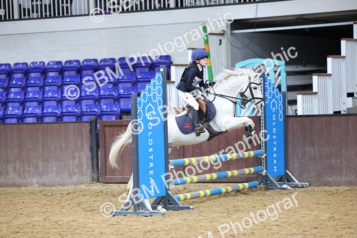 SBM_001021 - Class 3 - Christmas Tree Stakes - 60cm