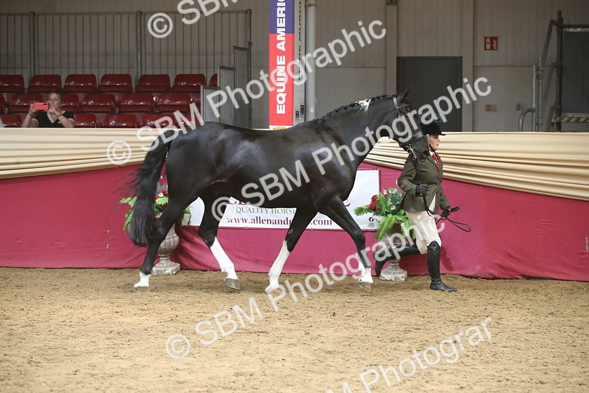 SBM_05520 - Class 9R - Regional IH Pre-Vet