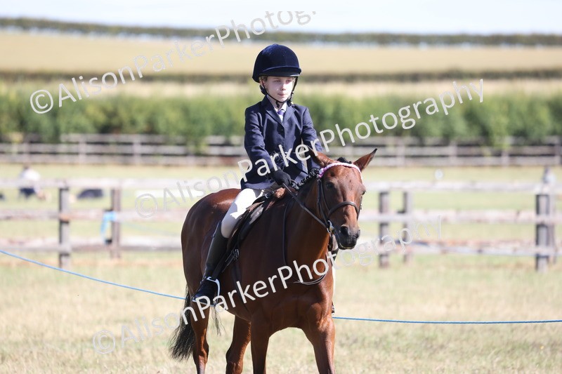 20260906-2159 - Class 16 - Family Pony