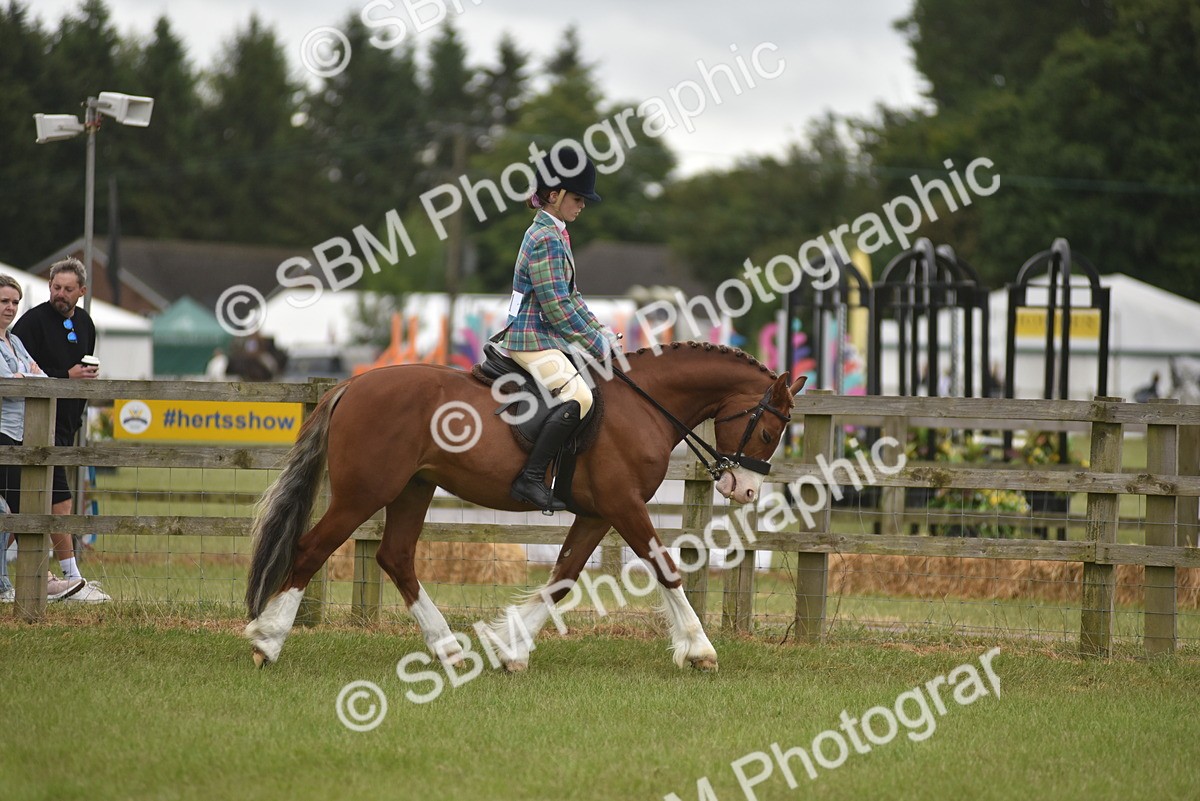 SBM_11986 - Class 110-112 - LIHS BSPS Performance Pones