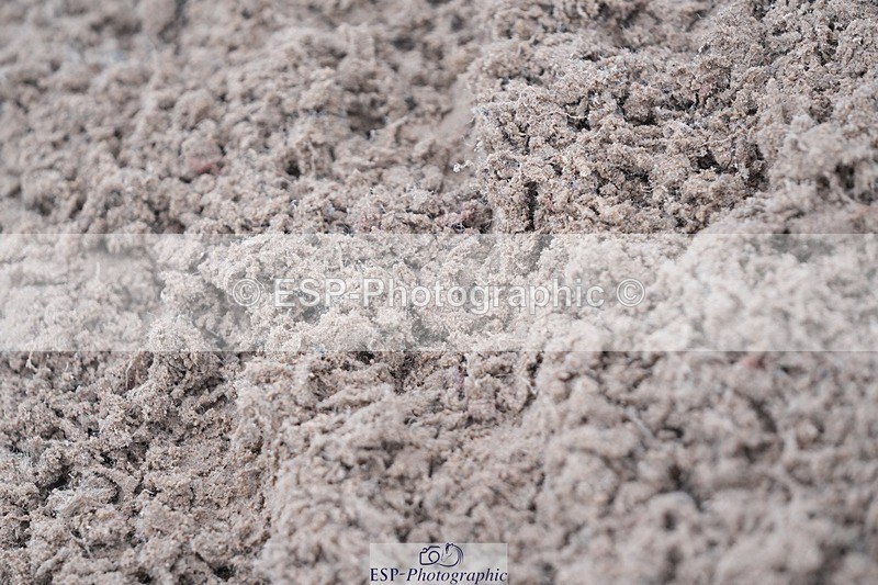 260220-095448-00017 - Cls 1-2 Clear Round, British Novice and 90cm