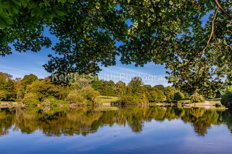 1SKJ7857 - Trees in Abington Park