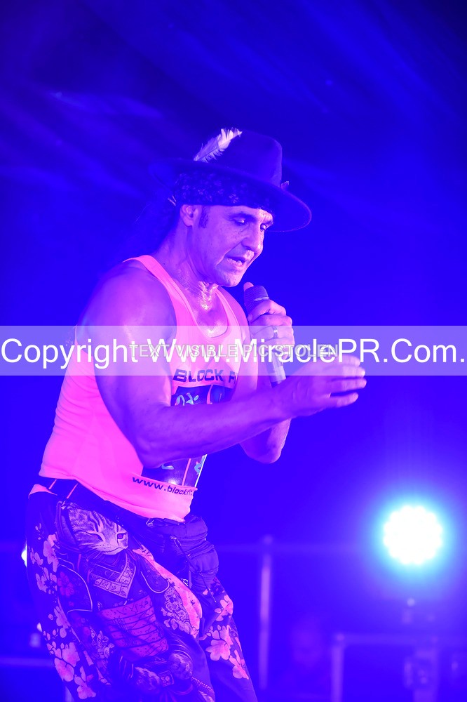 SH4_4628 - Chico