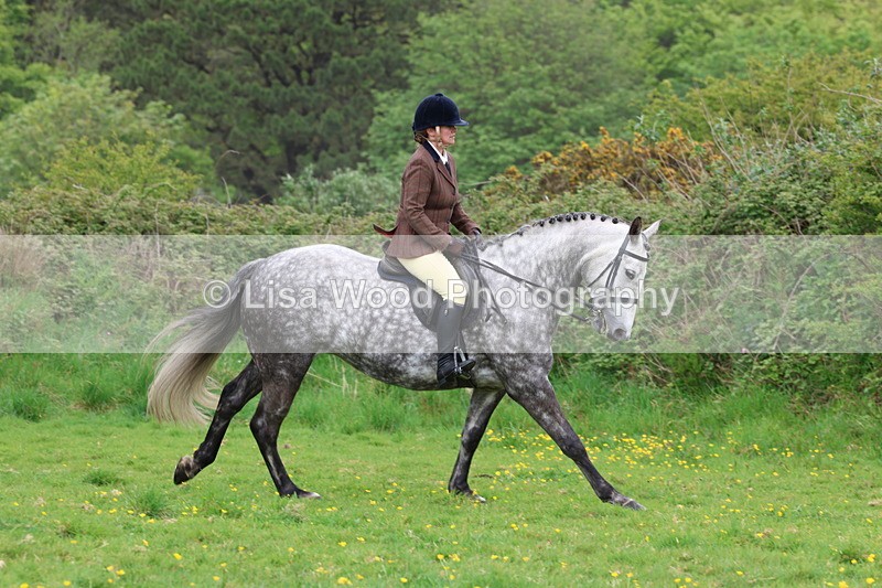 3E7A1755 - Class 9: Riding Club Horse/Pony