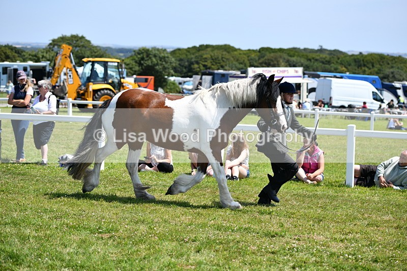 DSC_7566 - Class 64: Coloured Pony 4yrs & over