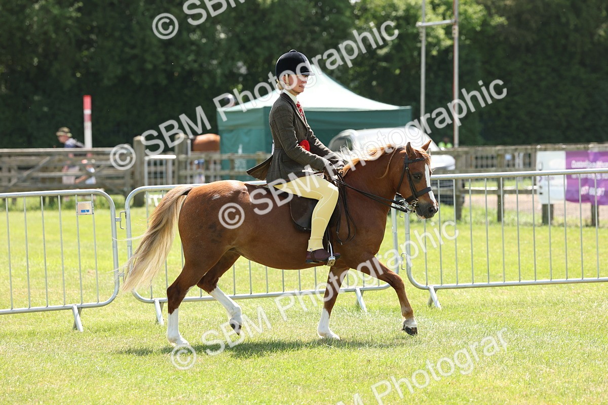SBM_06780 - Class 26-30 - Mountain and Moorland Ridden
