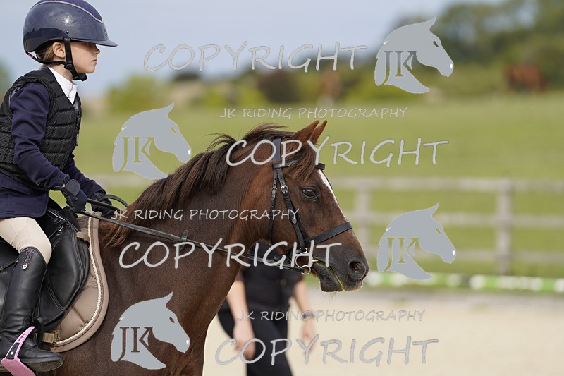 _DSC0029 - Mini Pairs