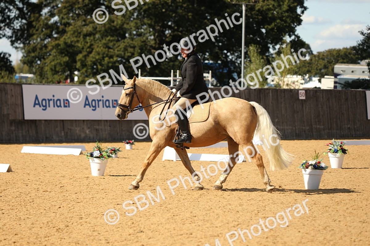 SBM_24556 - D17 - Grand Tour Championship - Novice 27