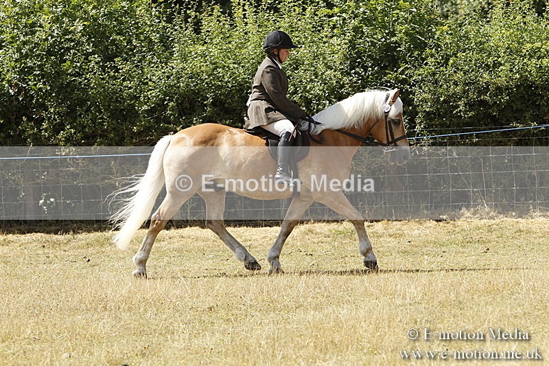 _BS_0730 - BVRC Show 2018 Ring 1