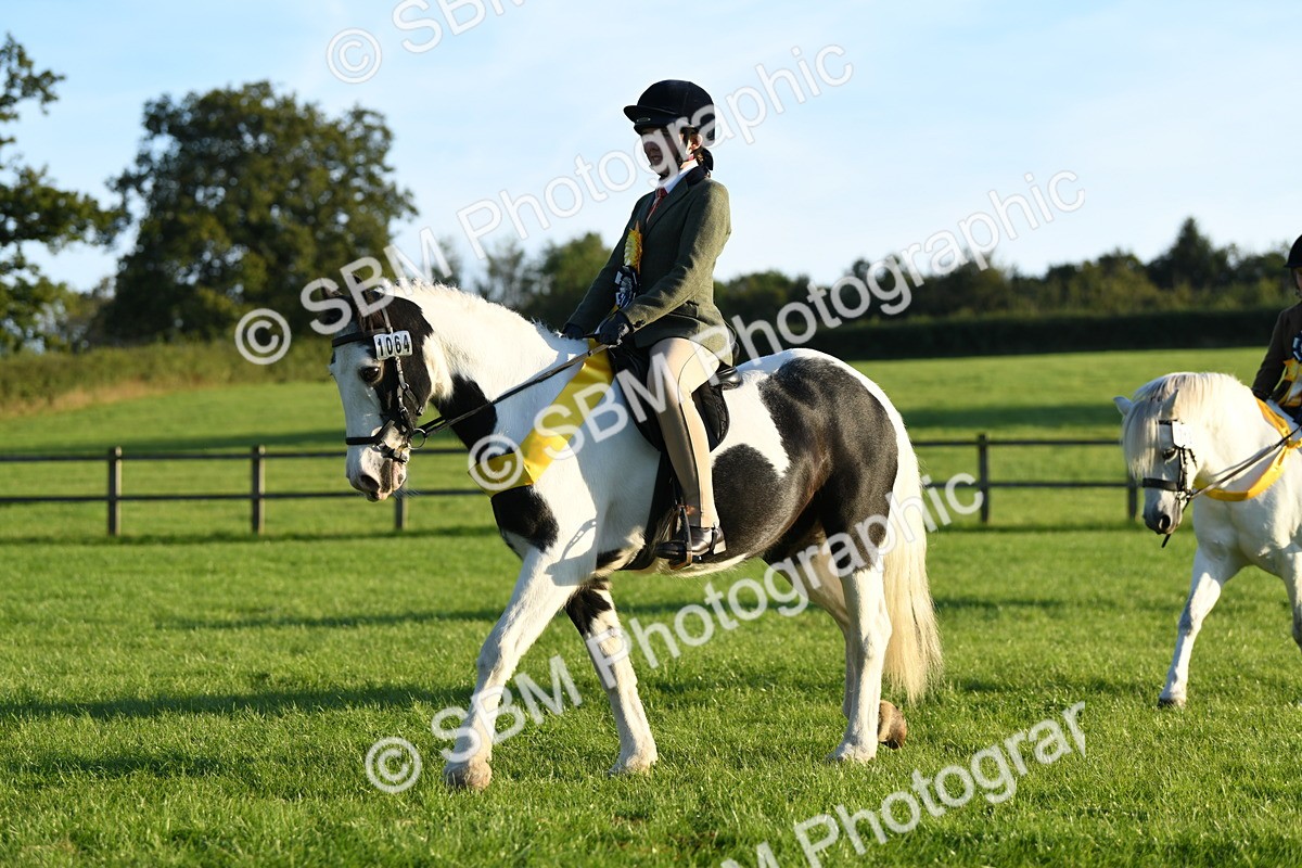 SBM_56488 - 1st Ridden Supreme Championship