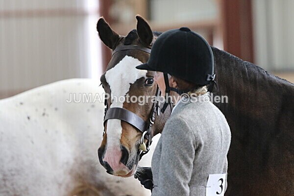 SIAL0341 - Indoor Classes