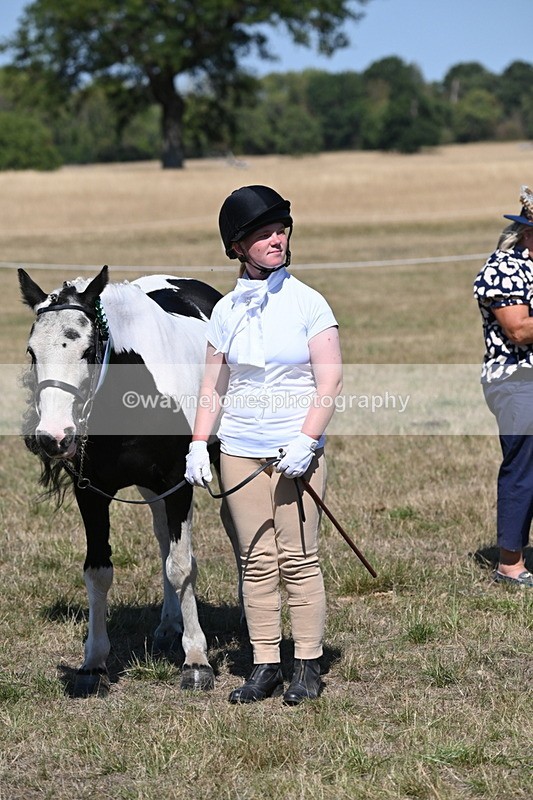 WJ6_8715 - Class 37b Best Loan Pony In-hand