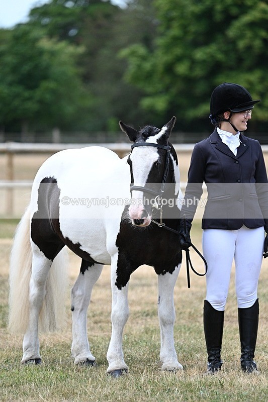 WJ7_1508 - Class 4 Prettiest Mare up to 14.2hh in hand