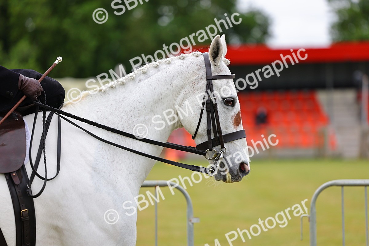 SBM_02695 - Class 9-11 Side Saddle including LIHS Rising Star Ladies Show Horse