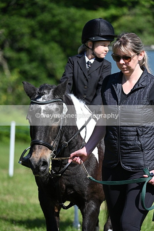 WJ7_0697 - Class 8 First Rally Pony