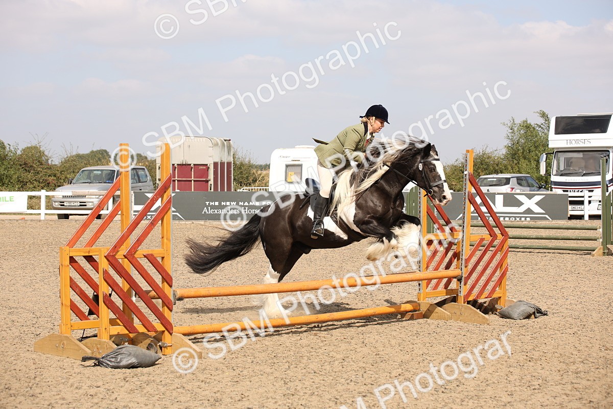 SBM_14336 - Class 407b - Working Veteran 60cm (20+)