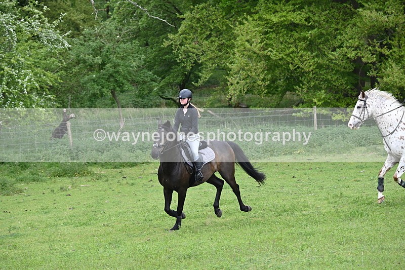 WJ6_2860 - A Camera