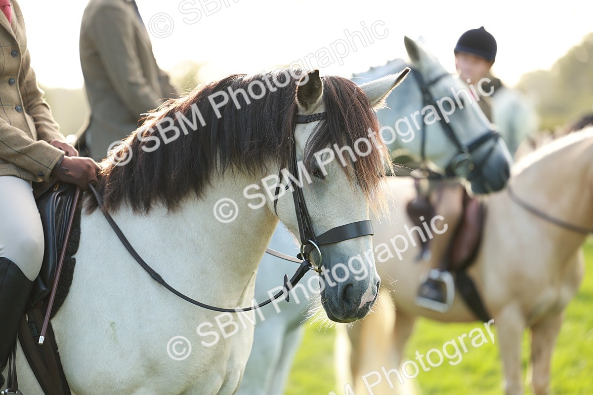 SBM_28804 - S7 - Novice & Newcomer Ridden Pony