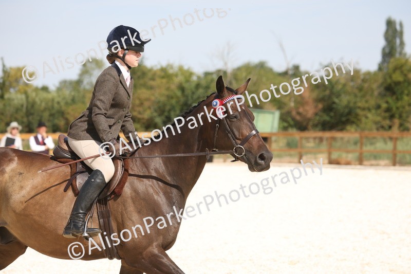 20260802-0724 - Class 8 - Best Riding Horse or Pony