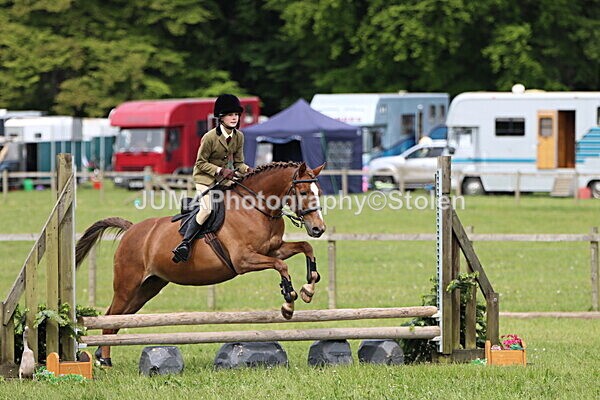 IMG_2995 - Working Hunter