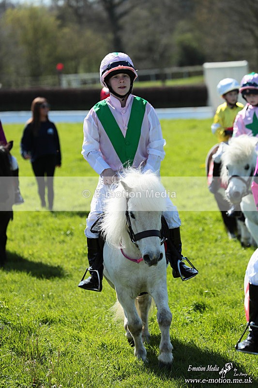 Shet 060426 219 - Shetland Pony Racing Paxford Races Easter Mon 06/04/26