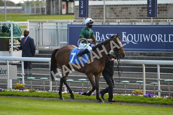 yr13052021r7-1 - Race 7 4.50pm Autohorn Stakes