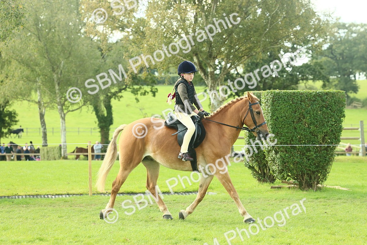 SBM_62419 - S62 - Foreign Breeds Ridden