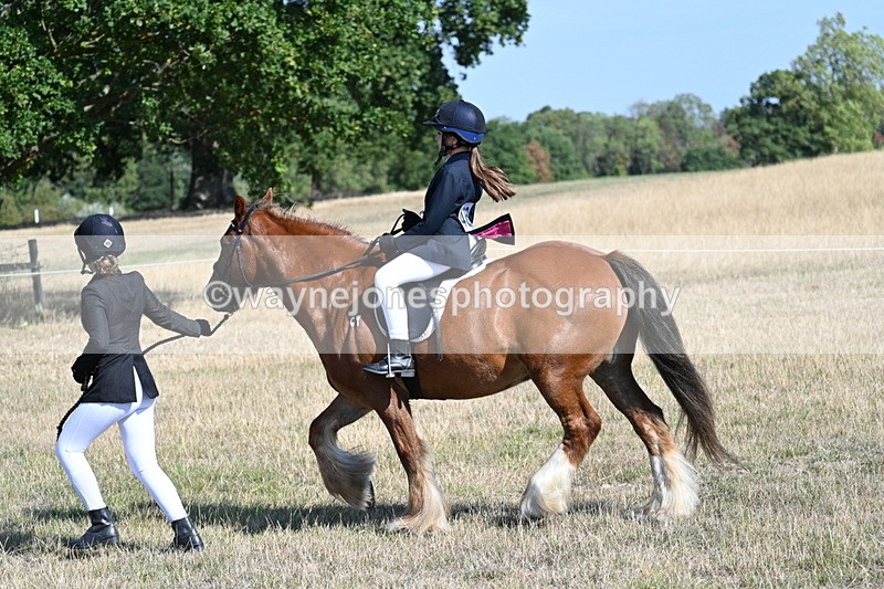WJ7_3022 - Class 8 Ridden Tack & Turnout