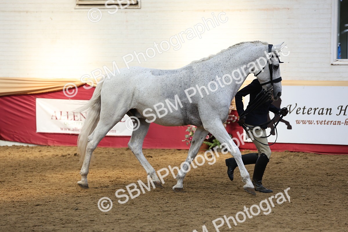 SBM_24154 - Class 905 - Supreme Final - Ridden Veteran