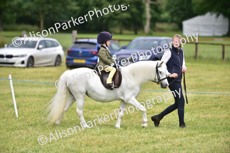 20260614-4169 - Class 17 - Best Mane and Tail