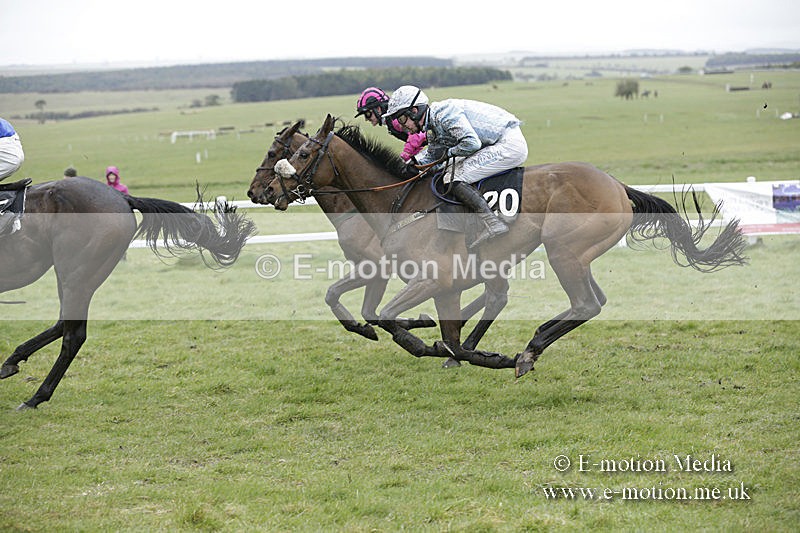 PtP 150320 0236 - New Forest Point-to-Point Larkhill 15/03/20