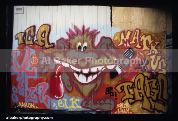 Cg36 - Graffiti Gallery (8)