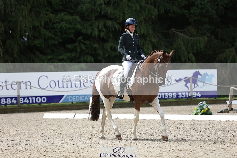 230812-121551-03973 - Cls 5 Novice Bronze 11.15 to 12.50 break