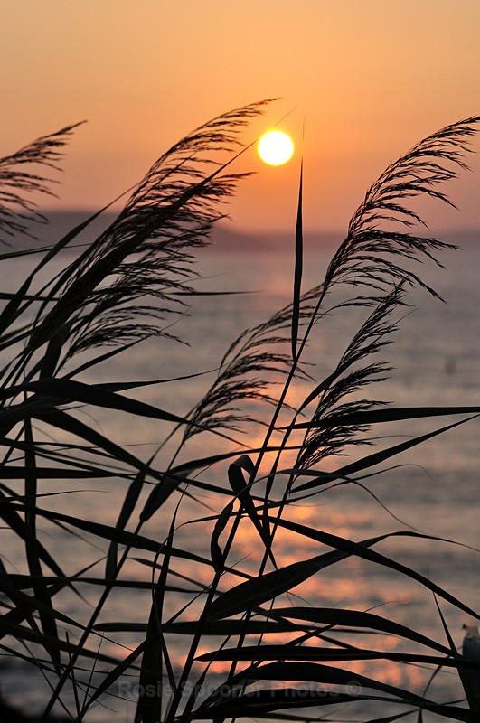 Looe Sunrise at Hannafore portrait