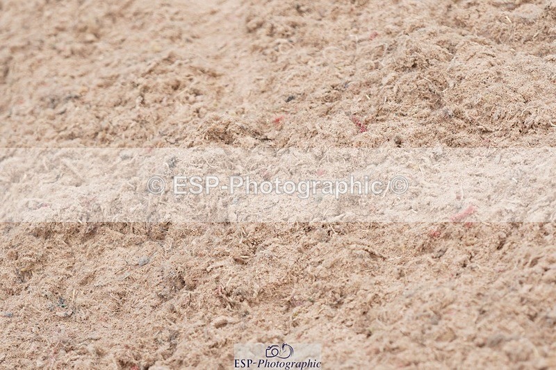 250621-102842-05673 - Quest Cls 7-11, Prelim All