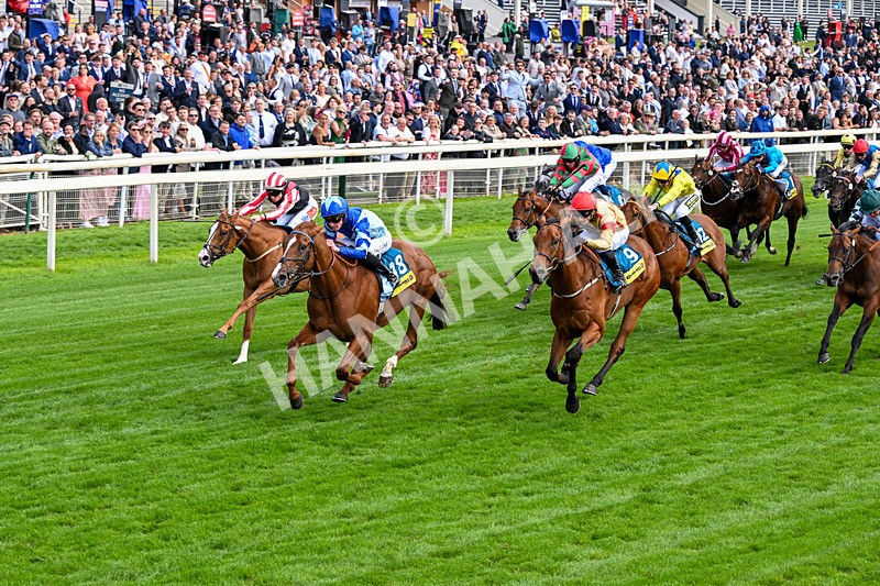130626-Race 4-Thunder Call-1284 - Race 4 15.35pm Churchill Tyres Supporting Macmillan Sprint Handicap