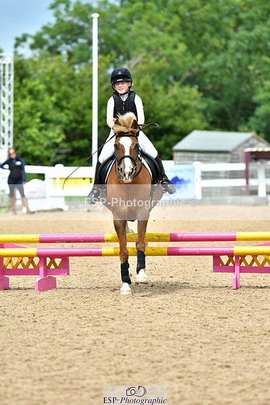 230804A-122853-02524 - Showjumping Competition