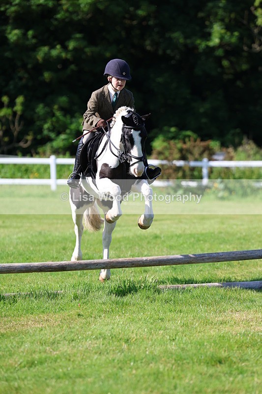 3E7A5885 - Class 27: Novice Working Hunter Pony